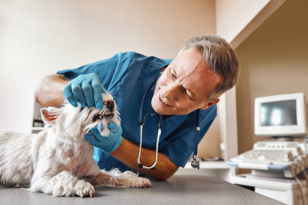 Best After-Hours Dental Care in Enid, OK